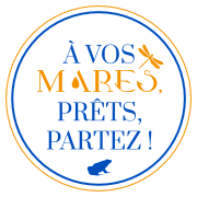 À vos mares, prêts, partez !